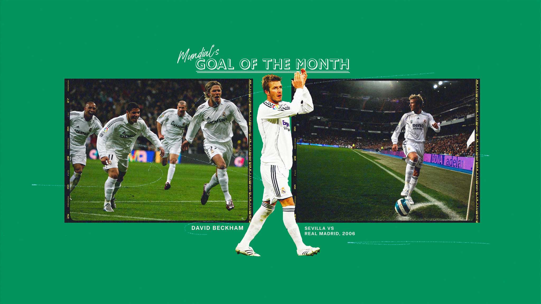 无疑是引起 无疑是引起