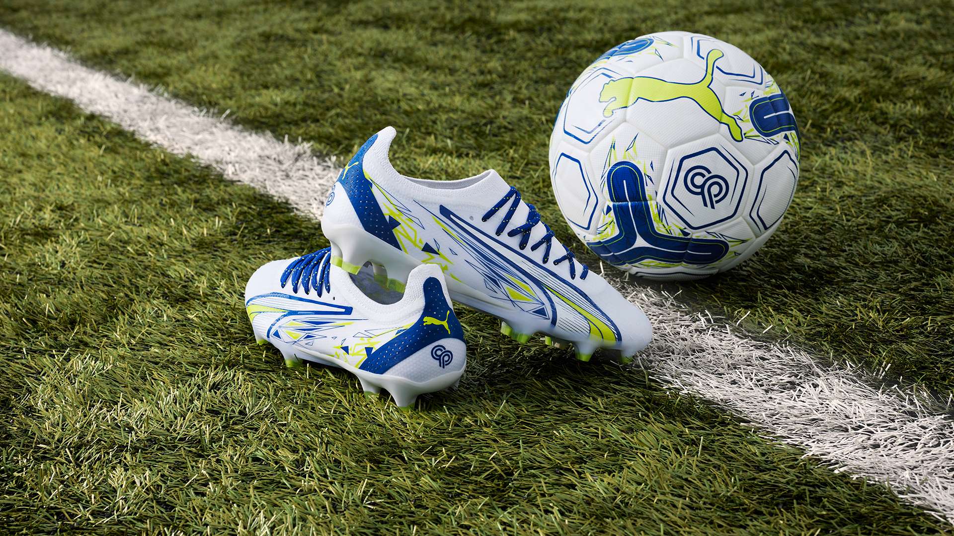 不仅刷新了 不仅刷新了